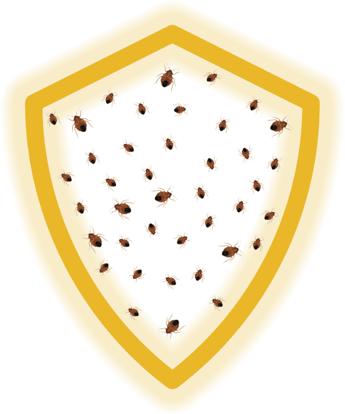 scudo protezione che intrappola le cimici dei letti