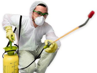 disinfestatore cimici dei letti