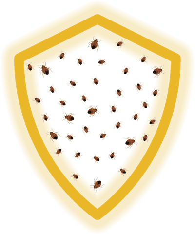 scudo protezione che intrappola le cimici dei letti