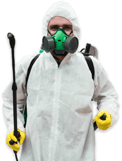 tecnico disinfestatore cimici